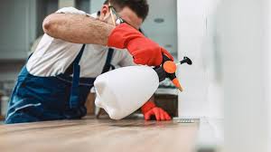 Best Residential Pest Control  in Port Jervis, NY